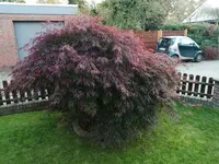 IMG_20201016_181252.webp IMG_20201016_181252.webp