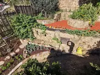IMG_20201017_130843PalliBeet4.webp
