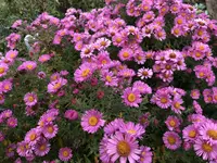 IMG_6703.webp