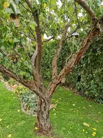 IMG_20201018_095056.webp