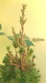 20201018_161658.webp