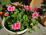 IMG_20201018_094417.png