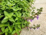 IMG_20201018_094827.png