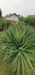 20201018_173037.jpg