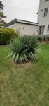 20201018_173051.jpg