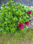 20201005_171711.jpg