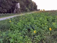 IMG_20201018_155209.webp