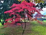 IMG_20201018_151616_3.jpg