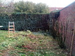 IMG_20201019_133751_6.jpg