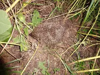 DSC01325.webp