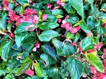IMG_20201018_144555_1.jpg