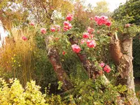 DSCF4251 (2).webp