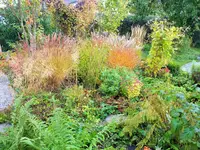 DSCF4248 (2).webp