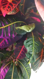 20201021_111411.webp