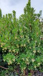 20201021_152630.jpg