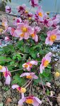 20201019_095226.jpg