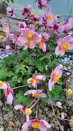 20201019_095226.jpg
