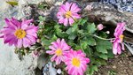 20201018_155147.jpg