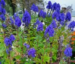 20201019_210952.jpg