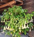 20201009_222902.jpg