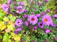DSCF4254 (2).webp