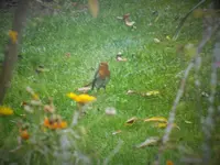 DSCF4253 (2).webp