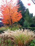 20201018_132126.jpg