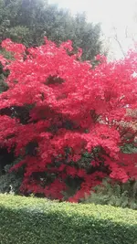 20161030_125943.webp