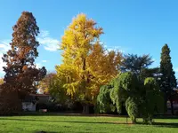 20181107_120350.webp