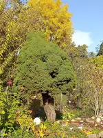 20201022_150543.jpg
