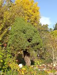 20201022_150543.jpg