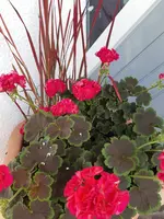 20201022_161405.webp