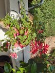 20201022_161253.jpg
