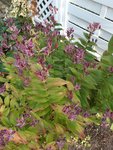 20201022_161216.jpg