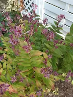 20201022_161216.jpg