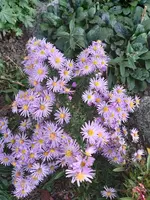 20201022_161353.jpg