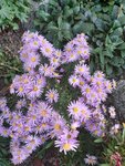20201022_161353.jpg