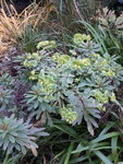 20201022_170017.jpg
