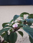20201022_170112.jpg