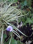 20201022_165801.jpg