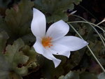 20201022_165844.jpg