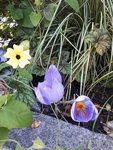 20201022_165738.jpg