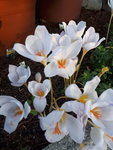 20201022_165723.jpg
