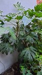20201022_175231.jpg