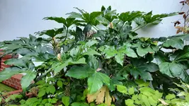 20201022_175116.webp