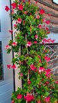 20201022_094409.jpg