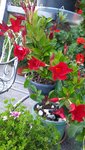 20200905_182814.jpg