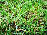 IMG_20201023_113248.webp