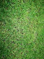 IMG_20201023_113222.webp