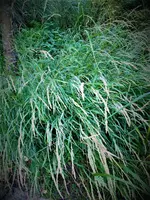 IMG_20200917_161830_1.jpg
